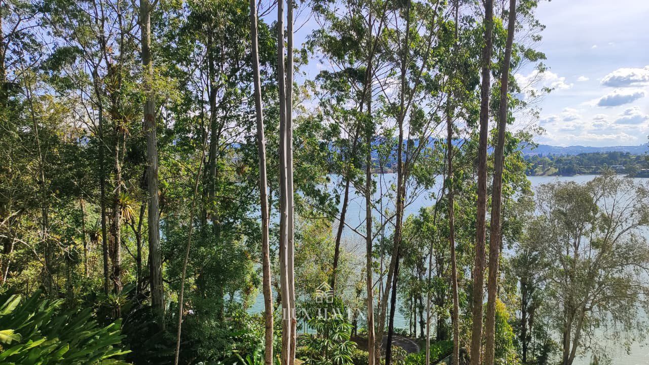 Permanent lake views through native forest from the upper homesites