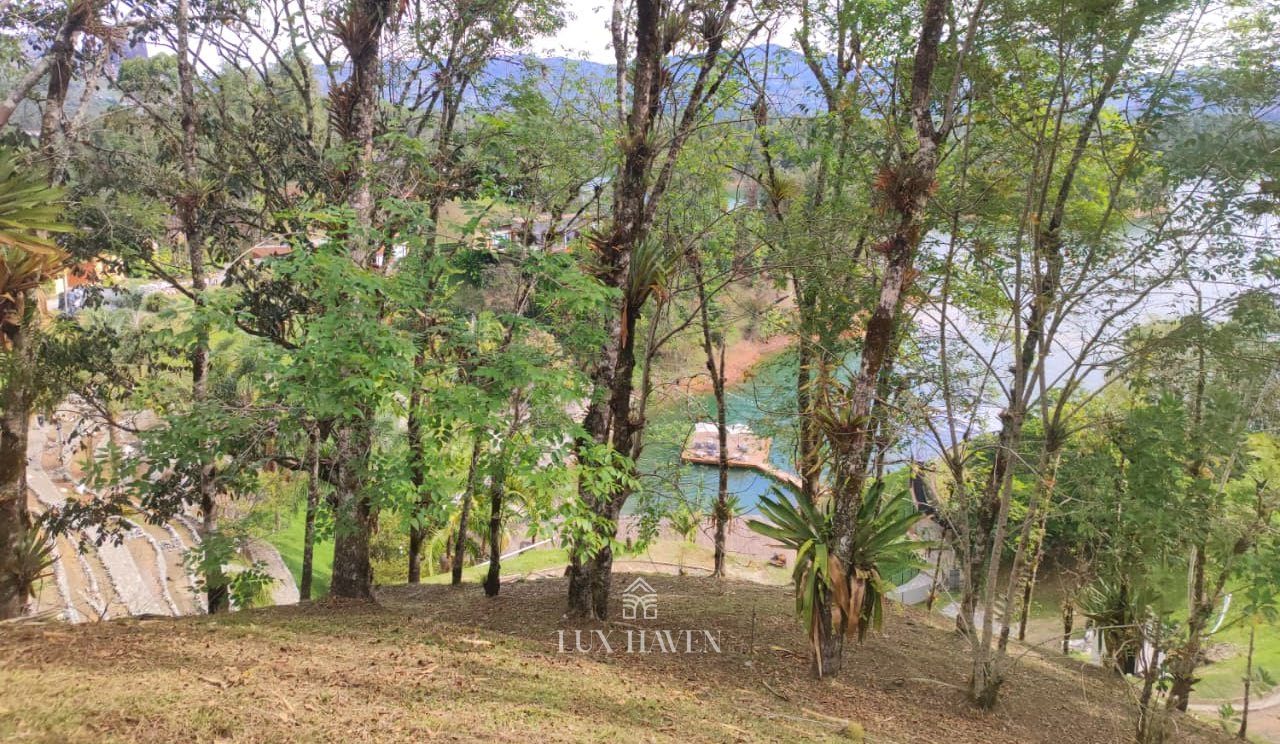 Lake panorama from the forested edge of the Tipo C homesites