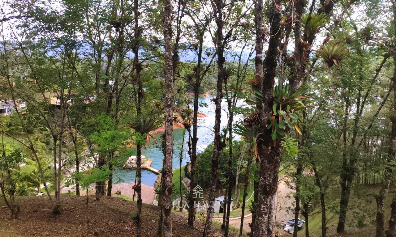 Native woodland ringing the homesites above the shoreline