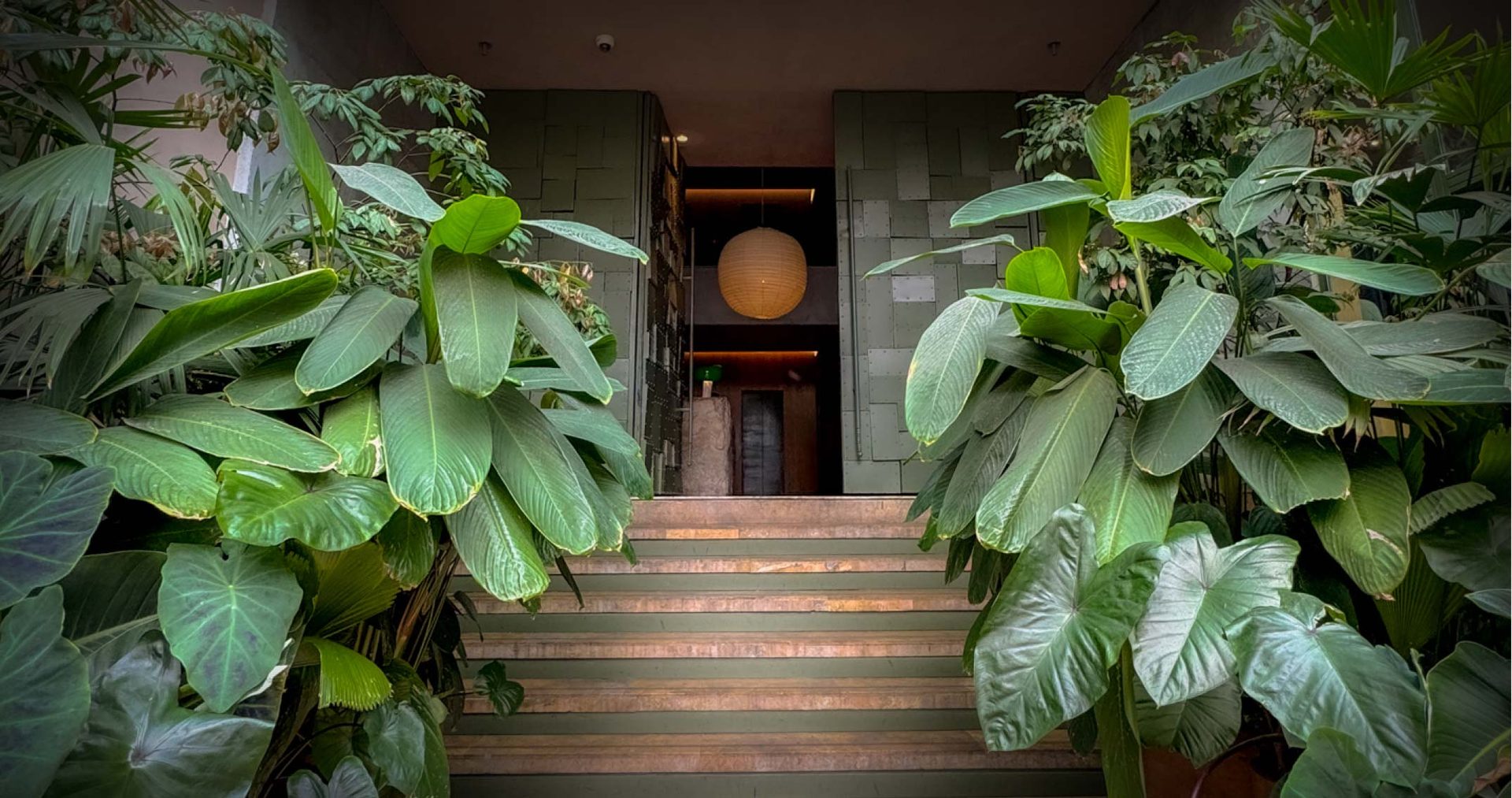 L'entrée-jardin de l'hôtel enveloppée de verdure tropicale