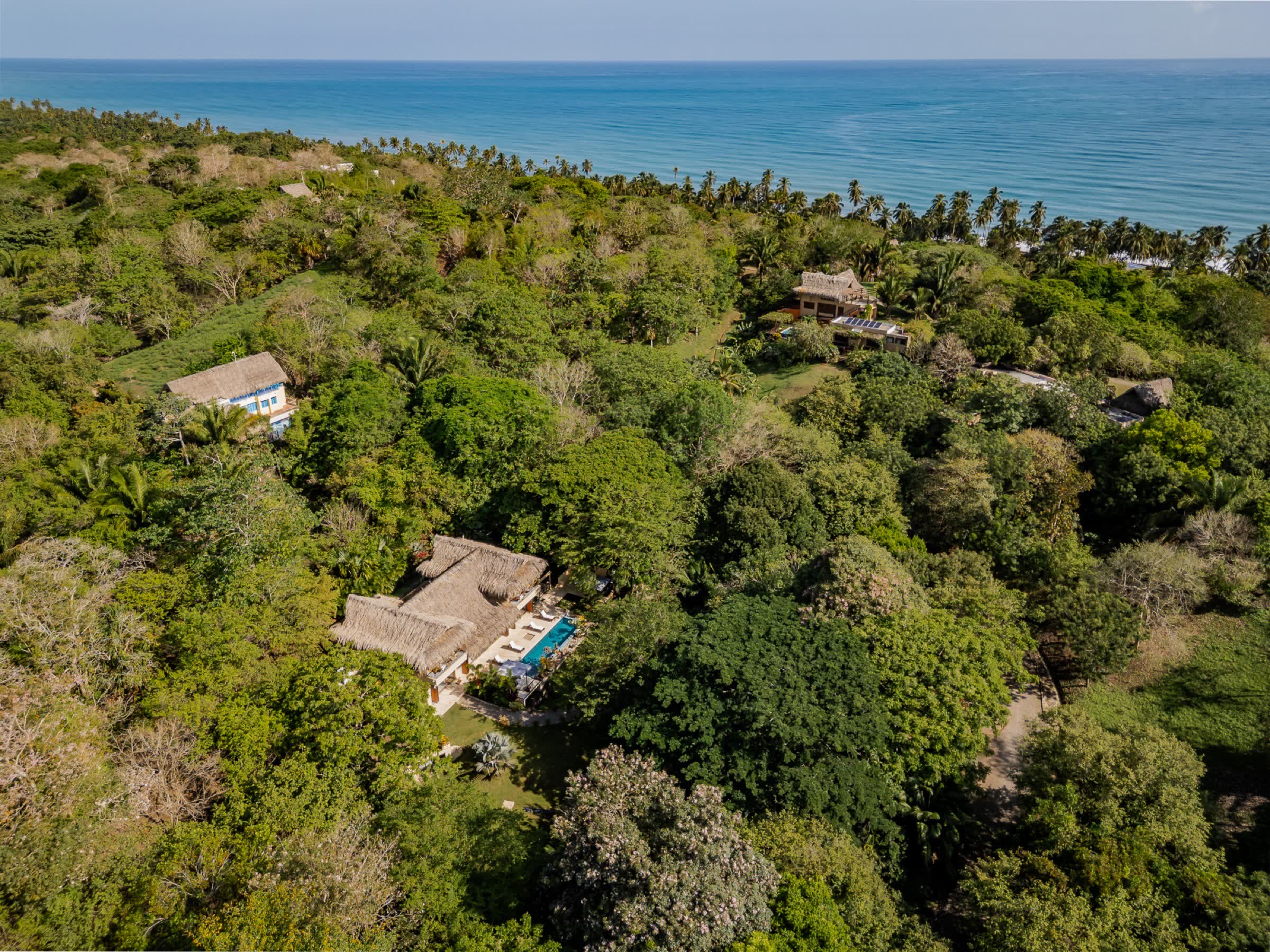 PURE Residential Retreat — private Villa mit Palmdach im Dschungel von Palomino, mit dem Karibischen Meer im Hintergrund